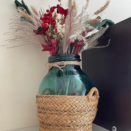 El Oasis Relajante The Relaxing Oasis *