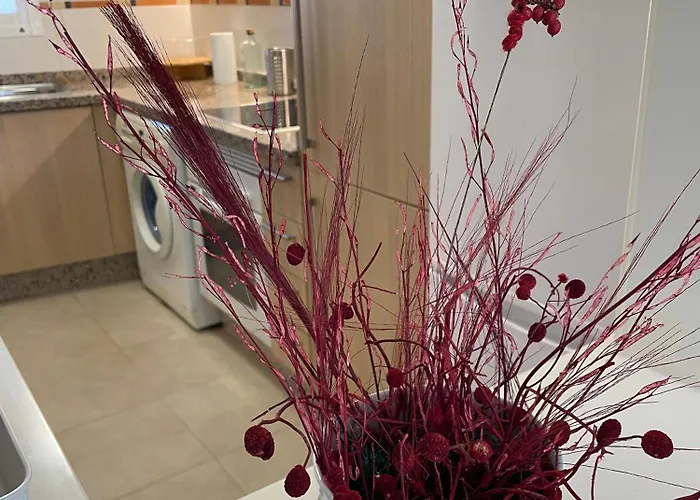 El Oasis Relajante The Relaxing Oasis