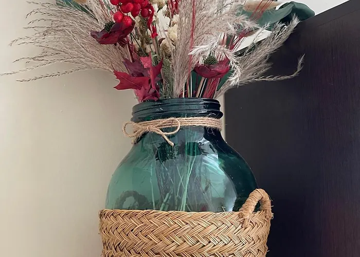 El Oasis Relajante The Relaxing Oasis *